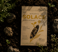 Wildflower Seeds