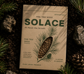 Pine Tree Seeds